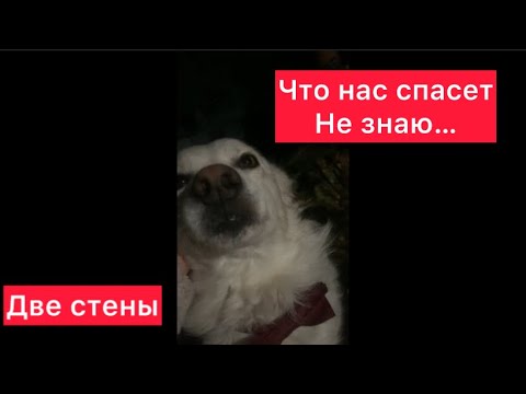 Видео: Днепр Нателла🙏Что тут скажешь😱Кого-то сегодня уже нет…