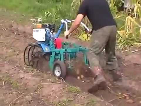 Видео: Картофелекопалка ККМ-1