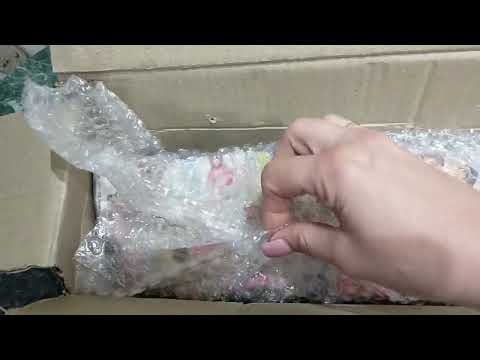 Видео: Новые растения в моей коллекции. Распаковка