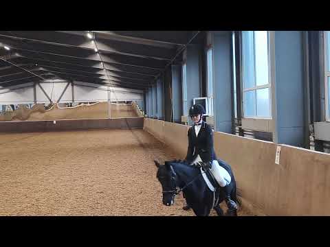 Видео: Вика и Наоми, выездные старты КУБОК НИЖЕГОРОДСКОЙ ОБЛАСТИ, проезд схемы ППДА  68.50% первое место.