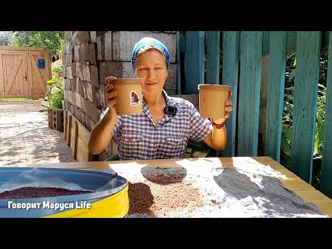 Видео: Праздник нашего папы. А я каждую неделю в шоке 02.08.22