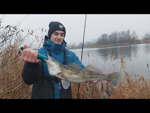 Видео: Вот это рыбалка! Судаки идут на пулю, щука на свинец.