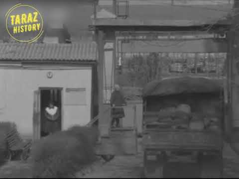 Видео: Меркенский сахарный завод, криминальная история, 1987 год