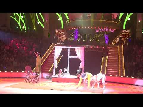 Видео: ЧЕЛОВЕК СОБАКЕ ДРУГ. Дрессировщик собак Юлий Якубовский.  Московский цирк Никулина