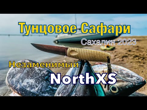 Видео: Незабываемая рыбалка на Голубого Тунца! Незаменимый NorthXS!