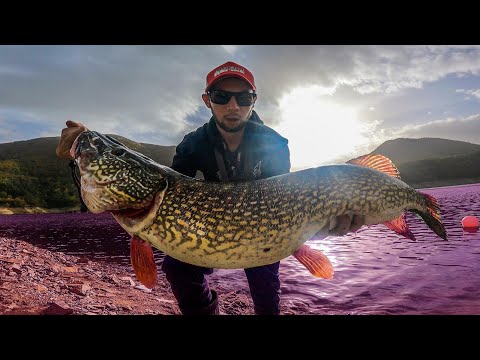 Видео: РЕКОРДНА  ЩУКА от ВЪЧА ! Лових КОСТУРИ на НОВИ силикони