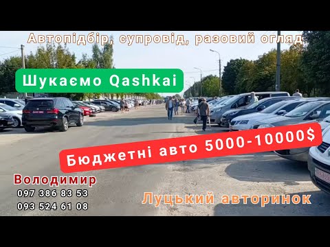 Видео: Луцький авторинок.22.08.24.Бюджет 5-10$