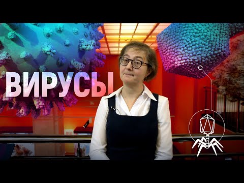 Видео: ВИРУСЫ: как мы боремся с ними, а они с нами. Анна Александрова