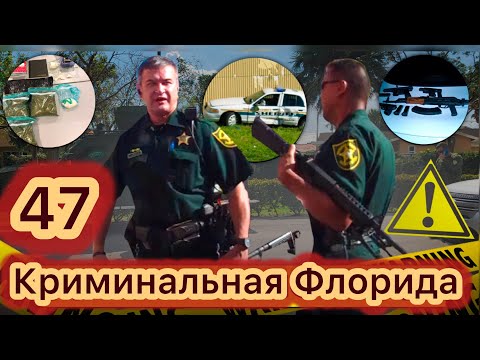 Видео: Пожизненное русскому учителю. Расстрел в Майами. Семейная резня. Труп в багажнике