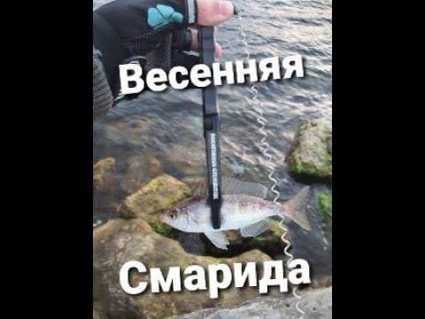 Видео: Весенняя Смарида.