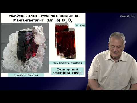 Видео: Спиридонов Э.М. - Генетическая минералогия.Часть 2 - 28. Редкометальные гранитные пегматиты. Часть 2