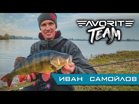 Видео: ТРОФЕЙНЫЙ ОКУНЬ с берега! Трудовая рыбалка с гидом в Голландии. Favorite Team.