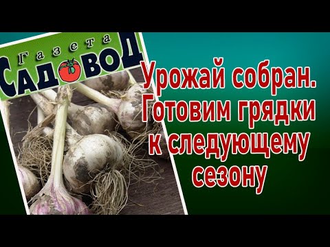 Видео: Урожай собран. Готовим грядки к следующему сезону