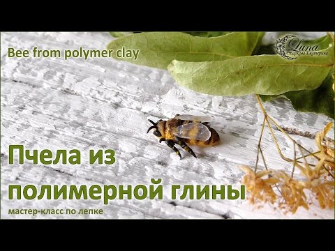 Видео: Пчела из полимерной глины / Bee from polymer clay, tutorial