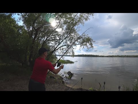 Видео: Рыбалка на ДОНУ в диких местах! Рыбалка на новом месте! Рыбалка 2021! Что с САЗАНОМ?