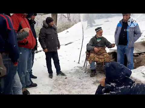 Видео: Бачачон Тавилдара