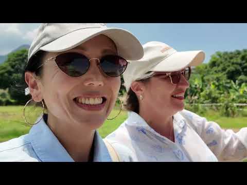 Видео: ВЛОГ: Вьетнам/часть 2