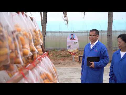 Видео: Табигый чарба аркылуу байуу: Тоо дарыя алкыган илим–техника сыры