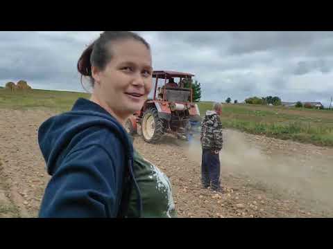 Видео: Убрали картофель 2023г.  #марийэл#природа#сентябрь#ваз#поселок#осень#ремонт#картофель#природа#азъял
