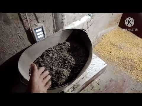 Видео: Стартовый корм для поросят на основе макухи подсолнуха.