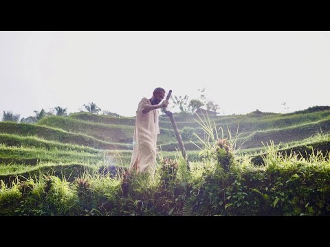 Видео: Тело - ум. Любовь. Экстрасенсы. Мастер Пранава