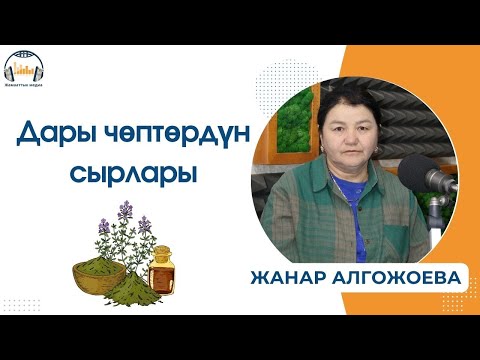 Видео: Дары чөптөрдүн сырлары