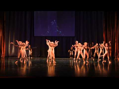 Видео: Романтика Сурикаты