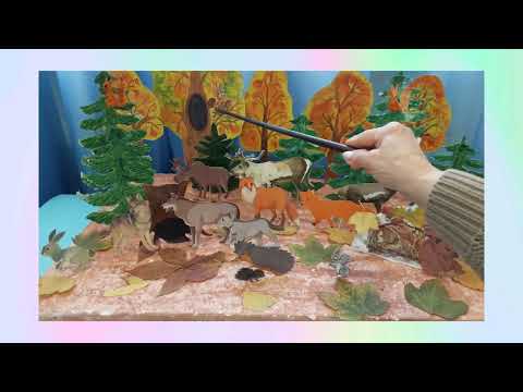 Видео: Тема:,,Дикі тварини."