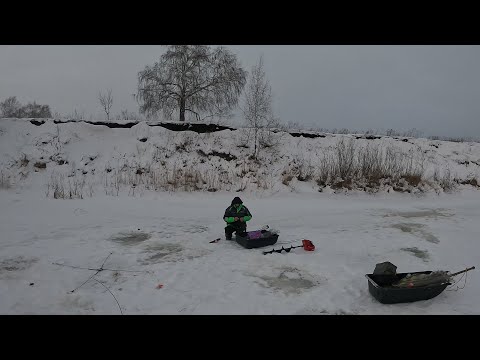 Видео: САЗАН НА ХАПУГИ!!!  И СНОВА МЫ ЕГО ПОЙМАЛИ!!! КТО ИЩЕТ,ТОТ ЛОВИТ...