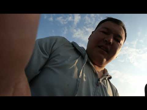 Видео: достарыммен балык аулау
