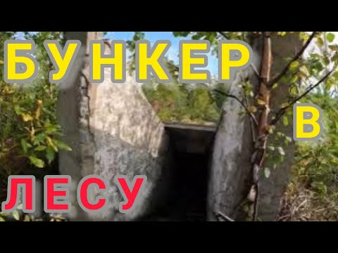 Видео: Заброшенный КП в лесу