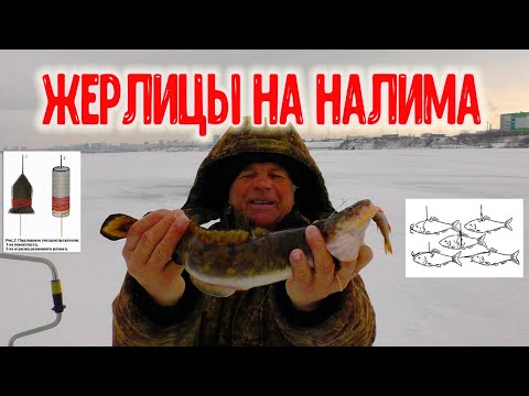 Видео: Как правильно ставить жерлицу на налима//Устройство// Как сохранить живца.//Хитрая жерлица на щуку.