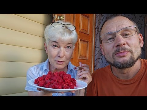 Видео: Большая Берестовица- наш райцентр. Малина по 10 руб, нам нужны витамины. #252 