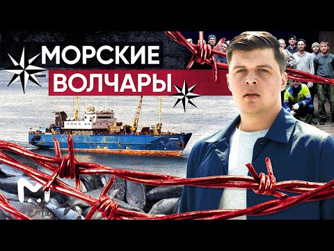 Видео: Морские волчары: плавучие тюрьмы Дальнего Востока