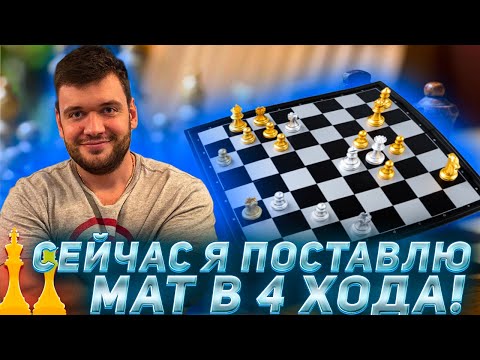 Видео: СЕЙЧАС Я ПОСТАВЛЮ МАТ В 4 ХОДА, МАКСИМУМ В 5 / ФИЛ ВЕРНИ ШАВЕРМУ УЧИТ ЧАТ ИГРАТЬ В ШАХМАТЫ