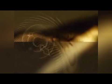 Видео: Детский мир/Телеклуб. 31.10.2012. Переход вещания, глюк часов!