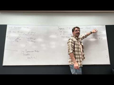 Видео: 26.09.2023. Лекция 6. Ломаные Эйлера. Промежуток Пикара. Теорема Арцела--Асколи. Теорема Пикара