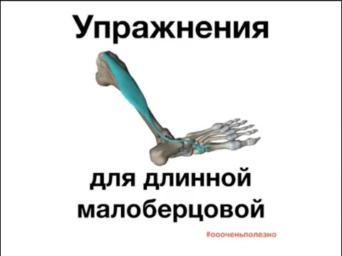 Видео: ТРЕНИРОВКА ДЛИННОЙ МАЛОБЕРЦОВОЙ МЫШЦЫ С МИОГРАФОМ