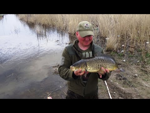 Видео: Язь и даже сазан на блесну. Бешеный клев  рыбы в Сибири.