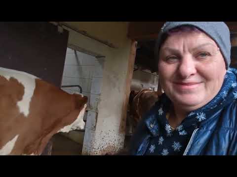 Видео: Понедельник день тяжёлый, на хозяйстве. Сегодня хлеб ещё вкуснее получился.