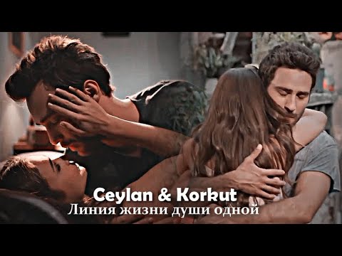Видео: ► [collab] Ceylan & Korkut - Линия жизни души одной