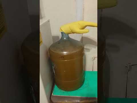 Видео: Медовуха ставленная,без кипячения...