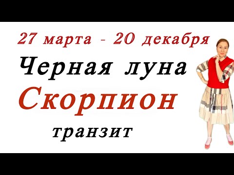 Видео: 🔴 Скорпион и Черная Луна ( Лилит )….. транзит