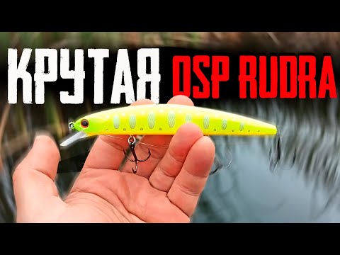 Видео: 🔴 ЛОВЛЯ ЩУКИ на ЛУЧШИЙ ВОБЛЕР для осени  - OSP RUDRA!!! 🔥🔥🔥