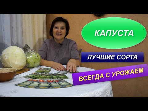 Видео: КАПУСТА |  ЛУЧШИЕ СОРТА КАПУСТЫ | ПРОВЕРЕНО !