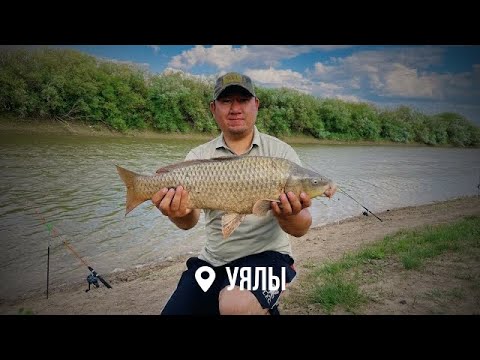 Видео: ТРОФЕЙНЫЙ САЗАН НА НУРЕ. РЫБАЛКА С НОЧЁВКОЙ.