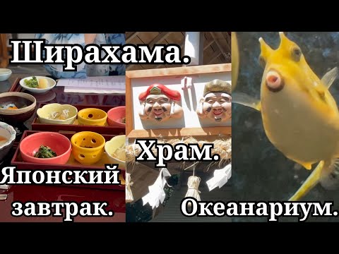 Видео: Ширахама. Японский завтрак. Храм. Океанариум.