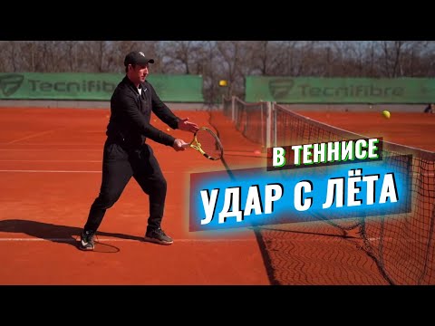 Видео: Удар С ЛЁТА - volley #теннис #спорт #тренер