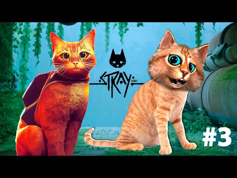 Видео: 😺 КОТ ПУТЕШЕСТВЕННИК STRAY Установка ПРИЁМОПЕРЕДАТЧИКА СИМУЛЯТОР КОТА Весёлый Кот