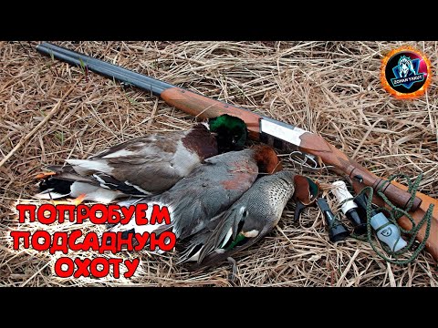 Видео: ТЕПЕРЬ ИДЕМ НА ПОДСАДНУЮ ОХОТУ ● Стрим по якутской игре "BULT"